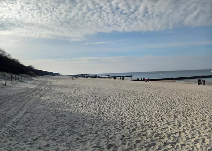 Rosa-modern 29m2 Ac, Netflix, Ps4, Pool, Sauna *