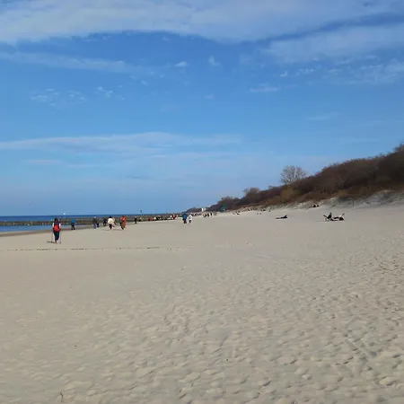 Rosa-modern 29m2 Ac, Netflix, Ps4, Pool, Sauna *