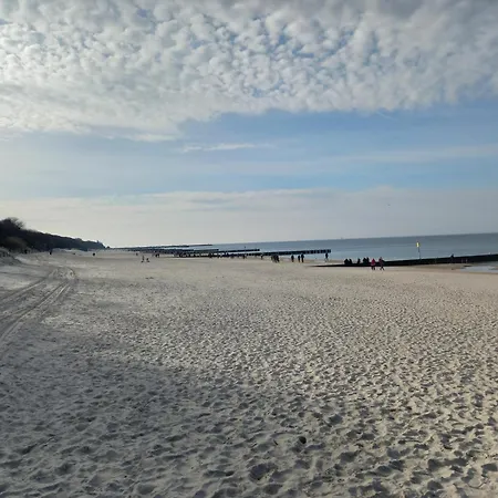 Rosa-modern 29m2 Ac, Netflix, Ps4, Pool, Sauna *